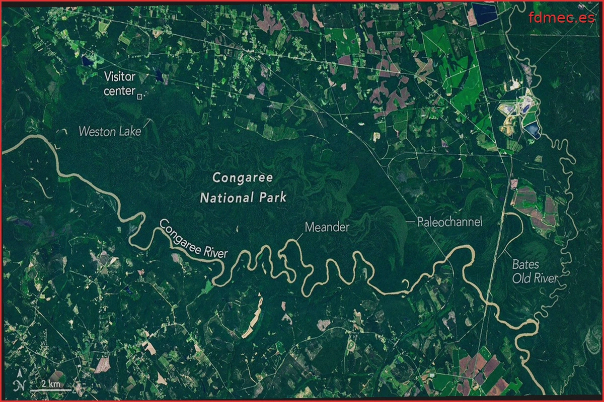 Las Llanuras Aluviales Boscosas del Parque Nacional Congaree